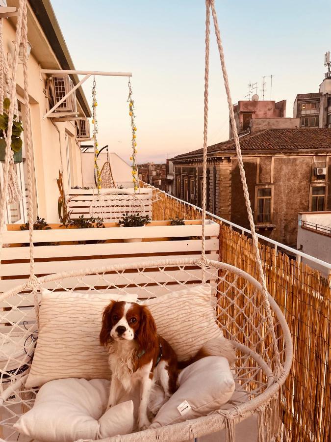 Bed and Breakfast Finestra Sulla Sicilia Катания Экстерьер фото